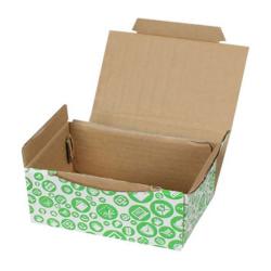 15,5x11x7,5 cm Kutu Yeşil Alış Veriş Desenli