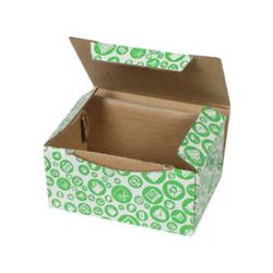 15,5x11x7,5 cm Kutu Yeşil Alış Veriş Desenli