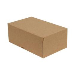 20x10x10 cm Kraft E-Ticaret Kargo Kutusu (4 Nokta)