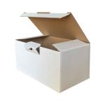 17,5x10x8,5 cm Hazır Beyaz Kutu