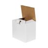 22x15x20 cm Hazır Beyaz Kutu