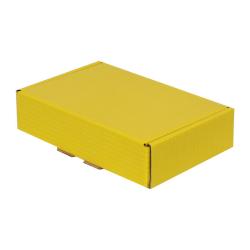 24x16,5x6 cm Hazır Kilitli Kutu Sarı