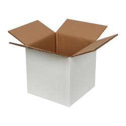 20x20x20 cm Çift Oluklu Beyaz Koli