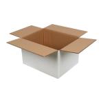 40x30x25 cm Çift Oluklu Beyaz Koli