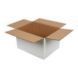 40x30x25 cm Çift Oluklu Beyaz Koli