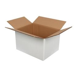 40x30x25 cm Çift Oluklu Beyaz Koli