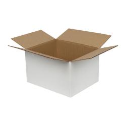 25x20x15 cm Tek Oluklu Beyaz Koli