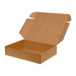 30x20x10 cm Kraft Karton Kutu Kilitli