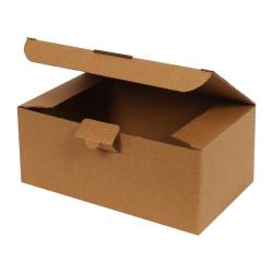 17,5x10x8,5 cm Kraft Kutu